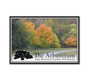 Custom Museum Magnet for Botanical Garden photo of trees