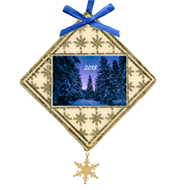 Custom ornament with night sky and pine trees