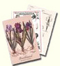 Custom Postcards