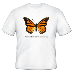 Personalized T-shirts - Full Color