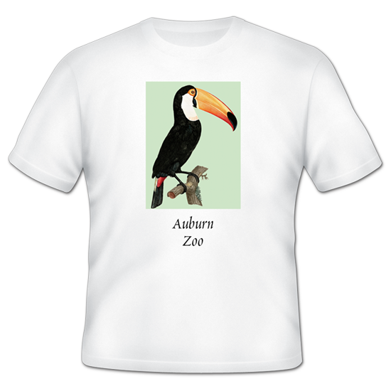 TShirt gallery images - 550x550-Toucan