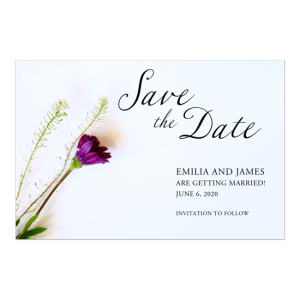 Save the Date Postcard - Low Minimums