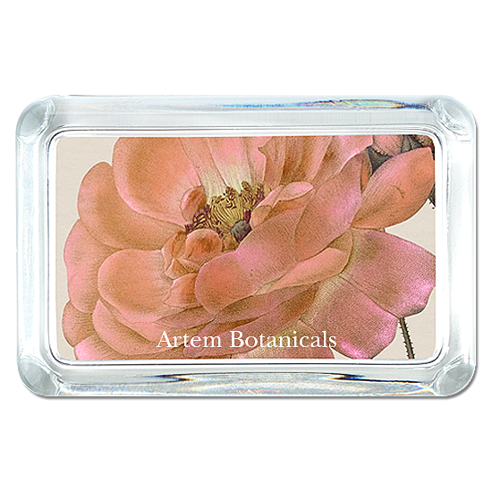 Glass Rectangle Paperweight - Personalized