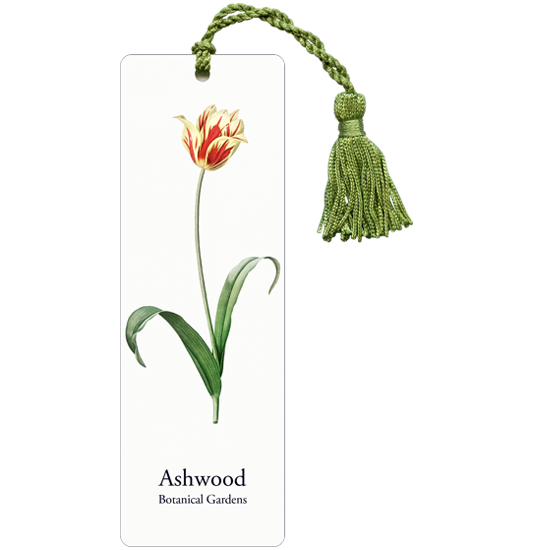 Custom Laminated Bookmarks Personalized Bookmarks Made in USA