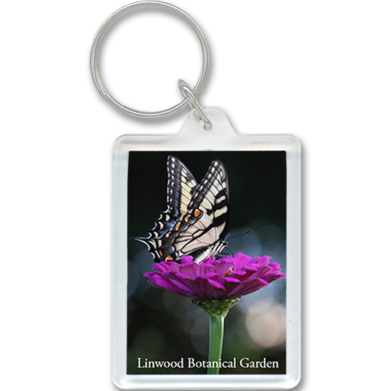 Tiger Swallowtail butterfly on purple flower keychain | Keychain-gallery-images-550x550-LinwoodBotanicalGarden