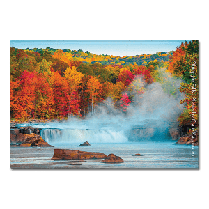 Custom Souvenir Magnet - State Parks